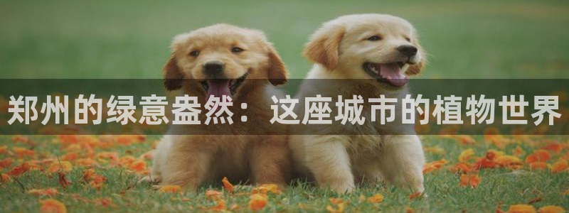 新宝彩票gg:郑州的绿意盎然:这座城市的植物世界