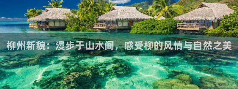 手机新宝gg:柳州新貌:漫步于山水间,感受柳的风情与自然之美