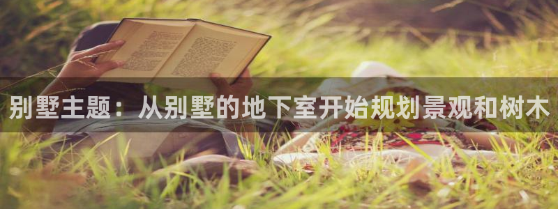 新宝 gg创造:别墅主题:从别墅的地下室开始规划景观和树木
