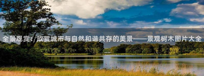 新宝gg平台q891465:全景观赏:欣赏城市与自然和谐共存的美景——景观树木图片大全