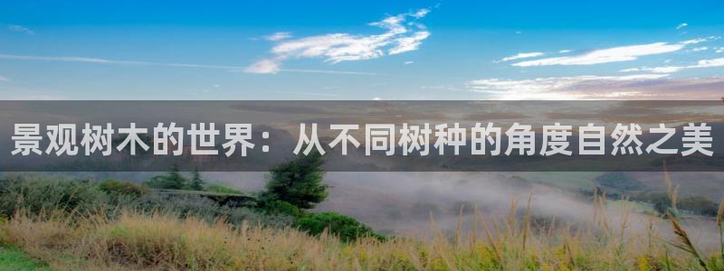 新宝gg娱乐首页:景观树木的世界:从不同树种的角度自然之美