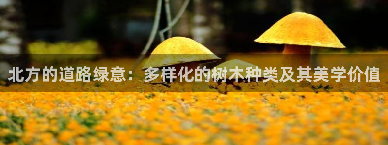 gg新宝gg:北方的道路绿意:多样化的树木种类及其美学价值
